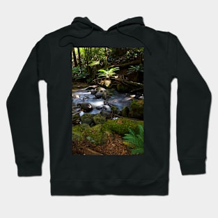 Taggerty Cascades #1 Hoodie